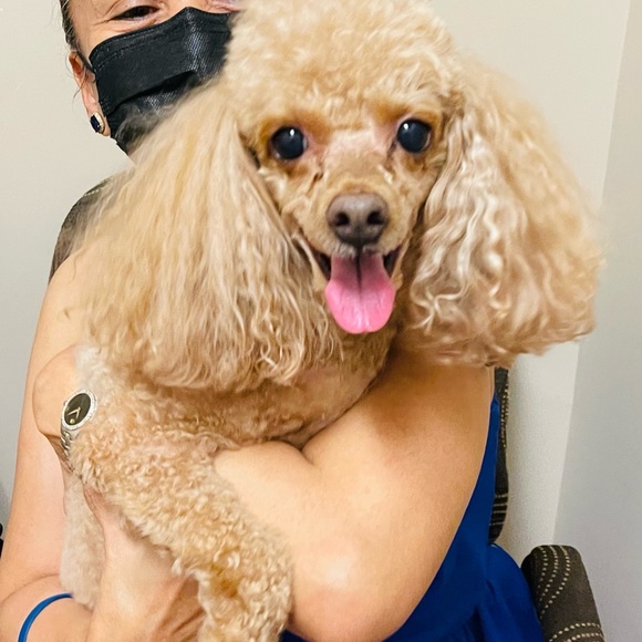 💕💕My baby Lulu Now and When a Baby💕💕 - Picture 2 of 7